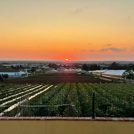 En Conil, Descansa Y Disfruta Bbq Aire Piscina Parking Conil De La Frontera