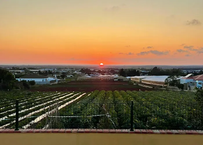 En Conil, Descansa Y Disfruta Bbq Aire Piscina Parking קוניל דה לה פרונטרה